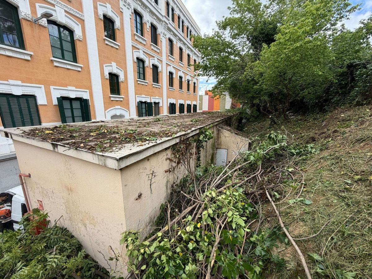 Antes: Acondicionamiento de exteriores