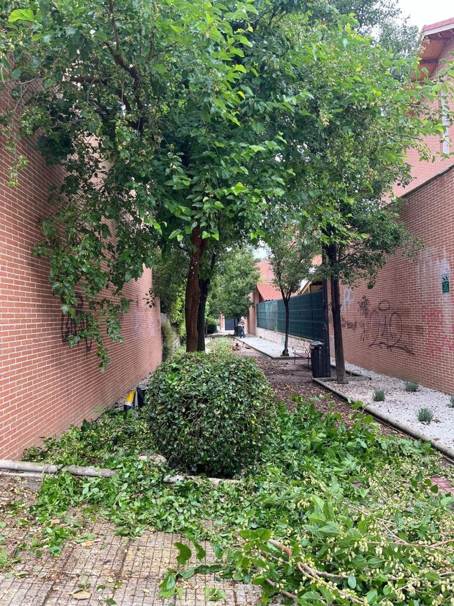 Antes: Mantenimiento de camino peatonal