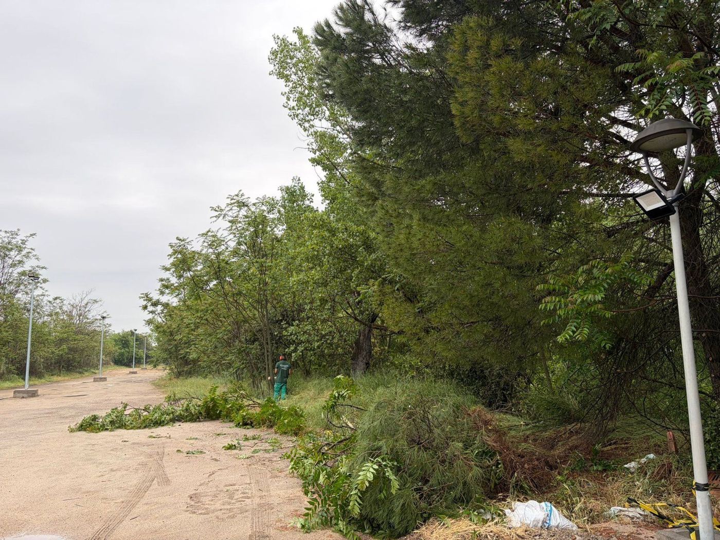 Antes: Recuperación de zona de parque
