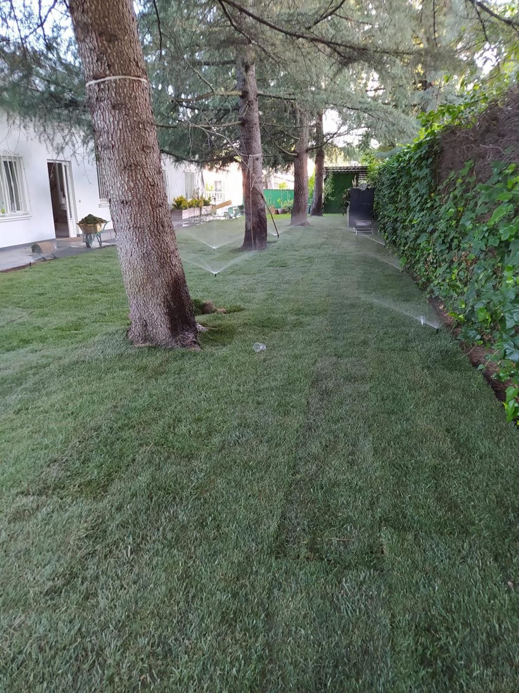Después: Limpieza integral de jardín