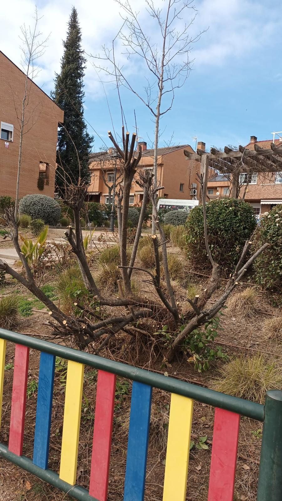 Zona verde de comunidad mantenida por Ecoespacios Integrales