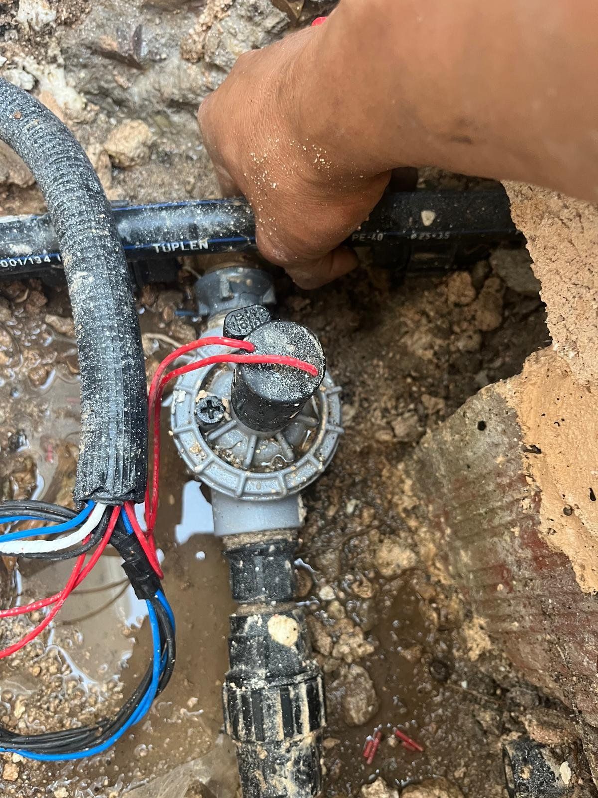 Sistema de riego profesional instalado por Ecoespacios